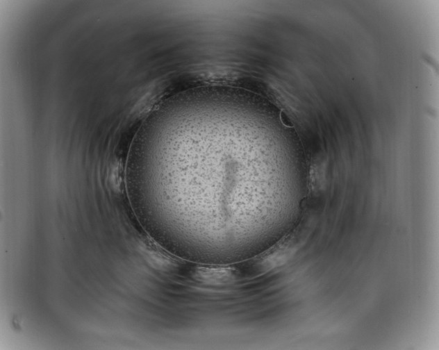 X0000098160671200804241805
