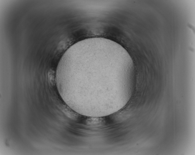 X0000098160672200804241805