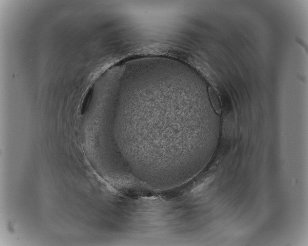 X0000098160673200804241804
