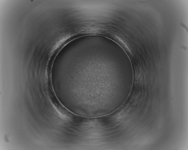 X0000098160674200804241804
