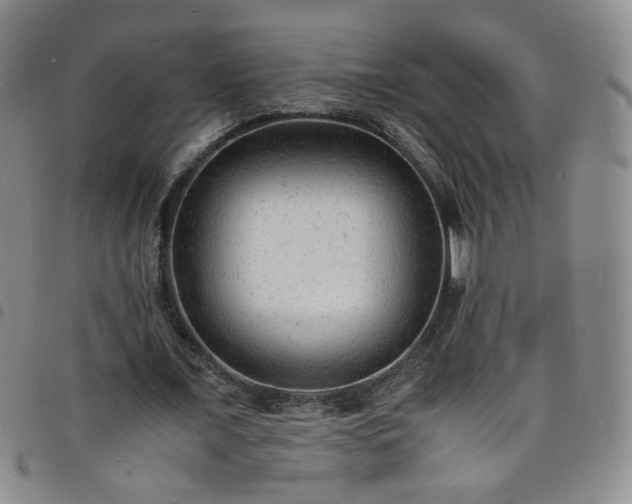 X0000098160675200804241804