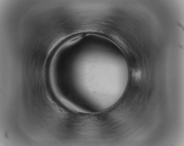 X0000098160676200804241804