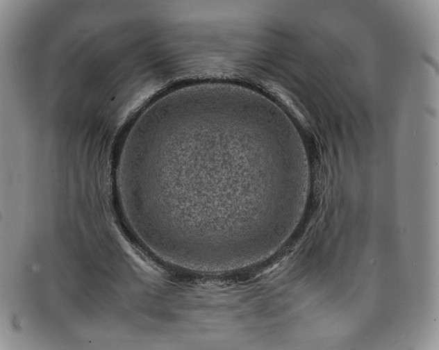 X0000098160677200804241804
