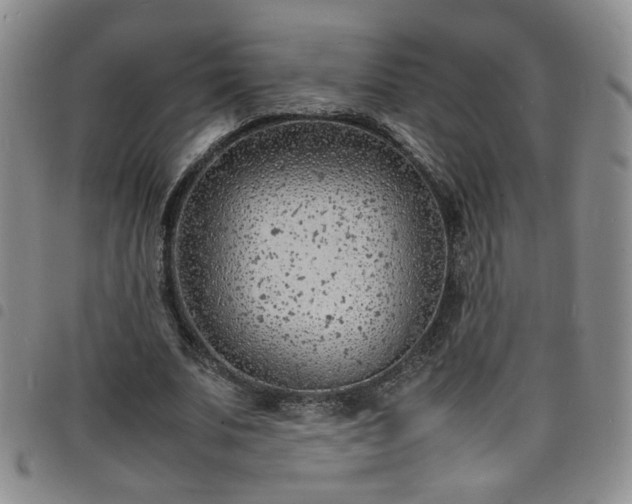X0000098160679200804241804