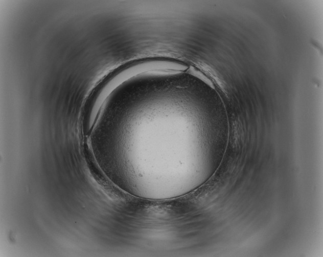 X0000098160680200804241804