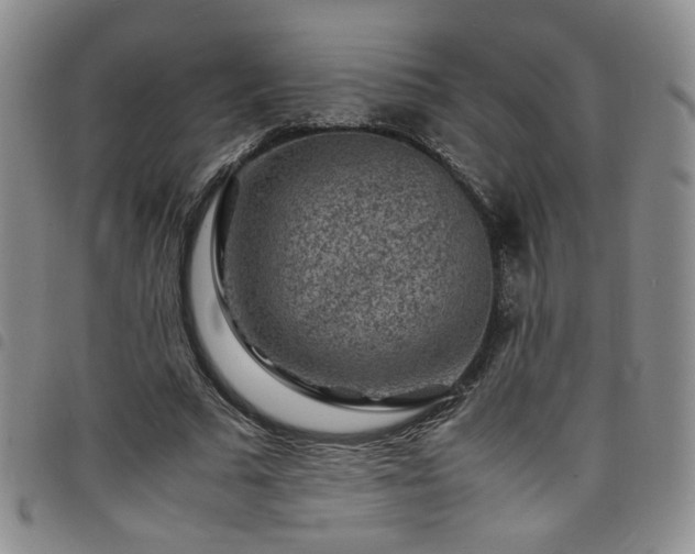 X0000098160681200804241804