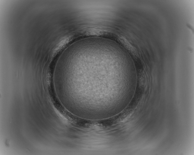 X0000098160683200804241804