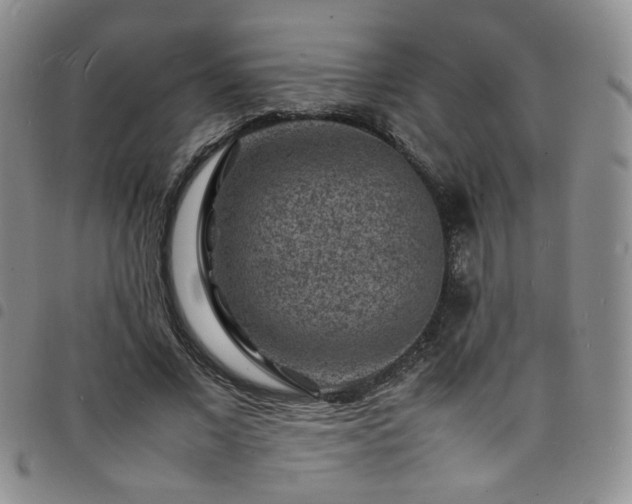 X0000098160685200804241804