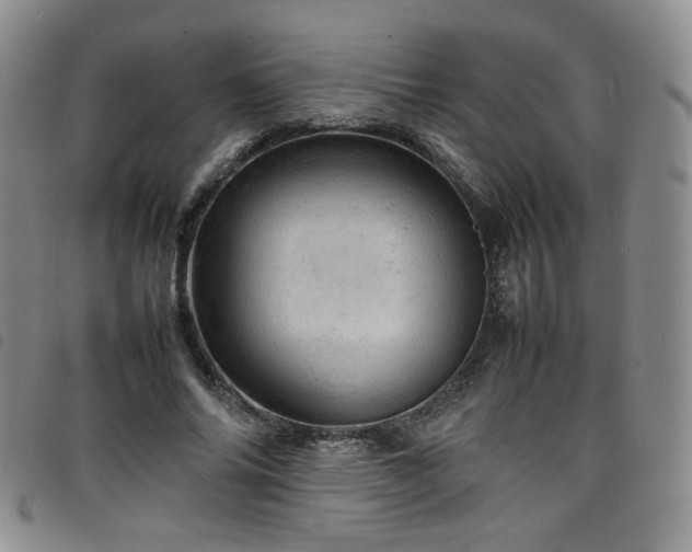 X0000098160686200804241804