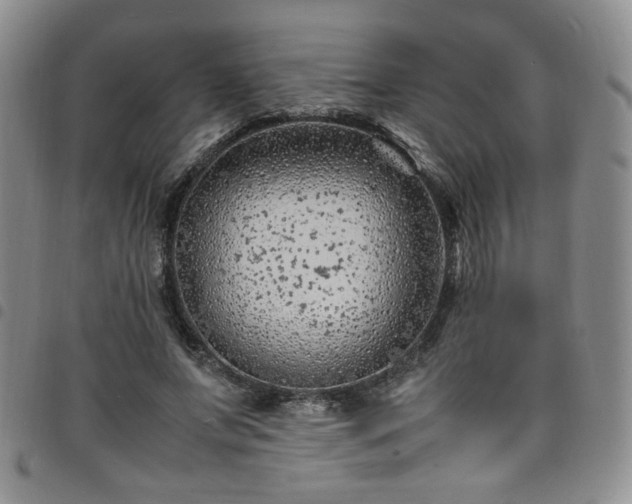 X0000098160687200804241804