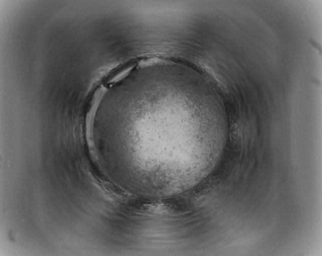 X0000098160688200804241804