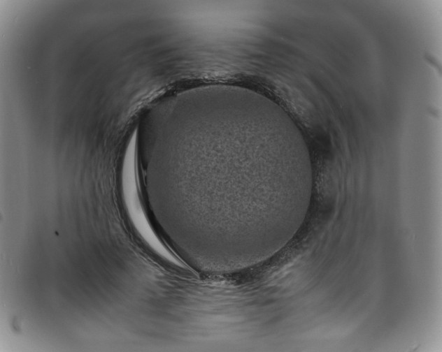 X0000098160689200804241804