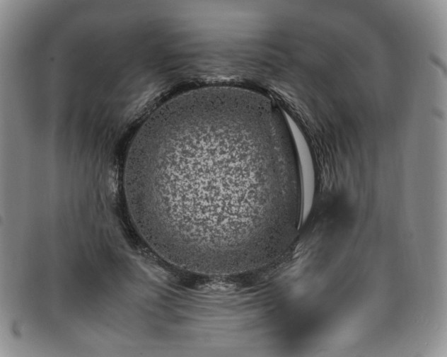 X0000098160691200804241804
