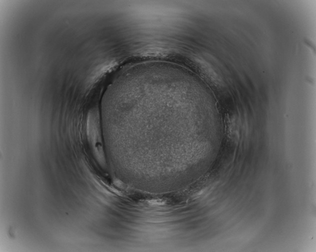 X0000098160692200804241804