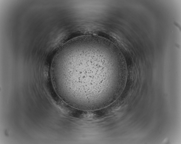 X0000098160695200804241804