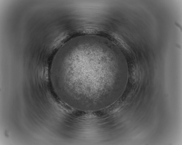 X0000098160696200804241804