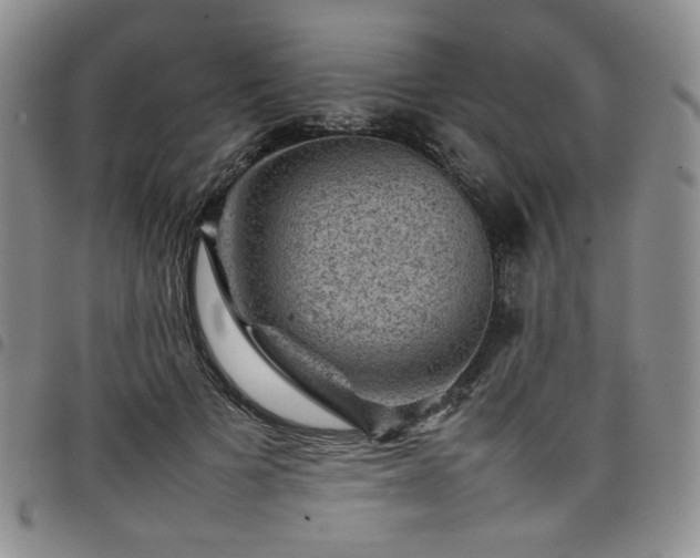 X0000098160697200804241804