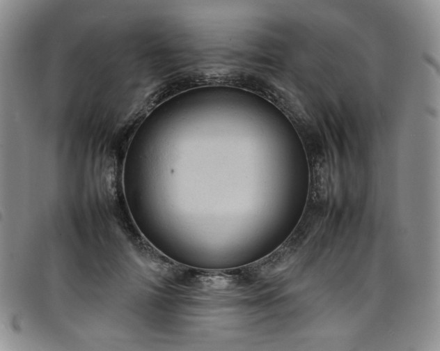 X0000098160698200804241804