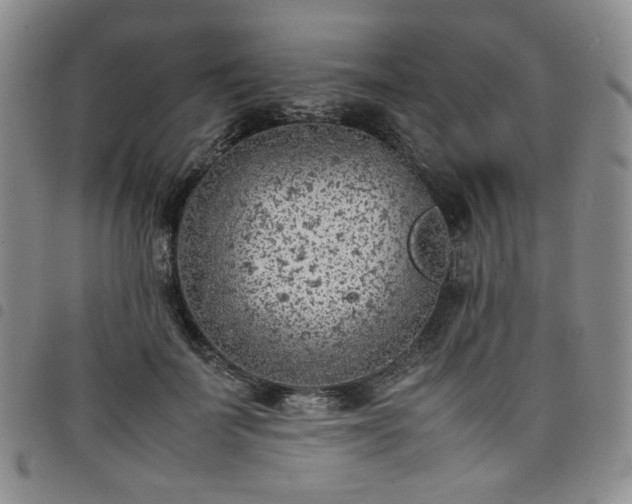 X0000098160699200804241804