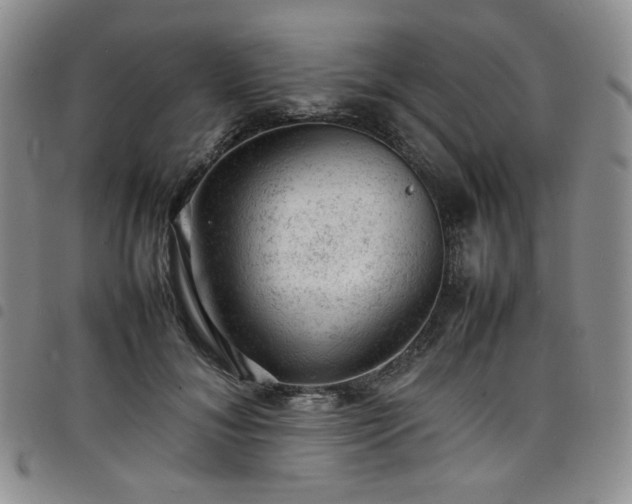 X0000098160700200804241804