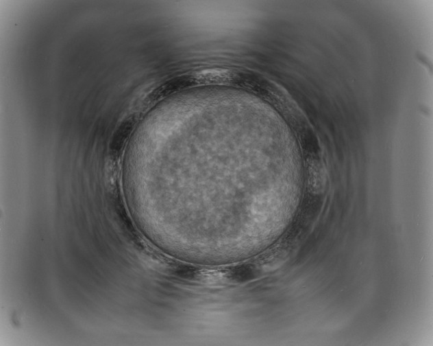 X0000098160701200804241804