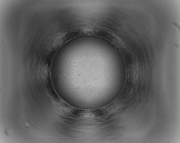 X0000098160702200804241804