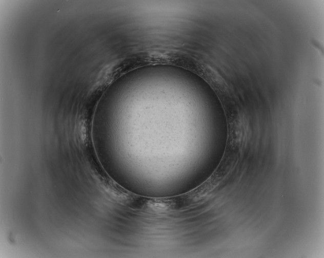 X0000098160706200804241804