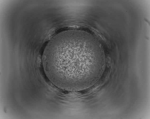 X0000098160707200804241804