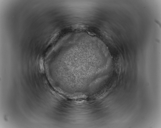X0000098160708200804241804