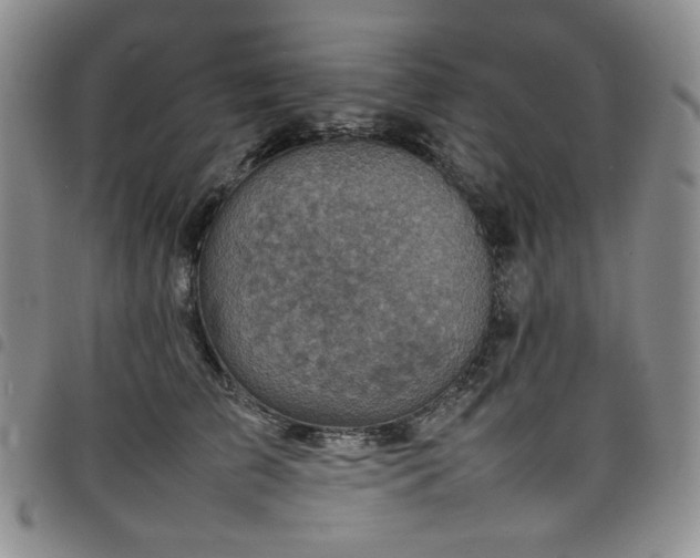 X0000098160709200804241804