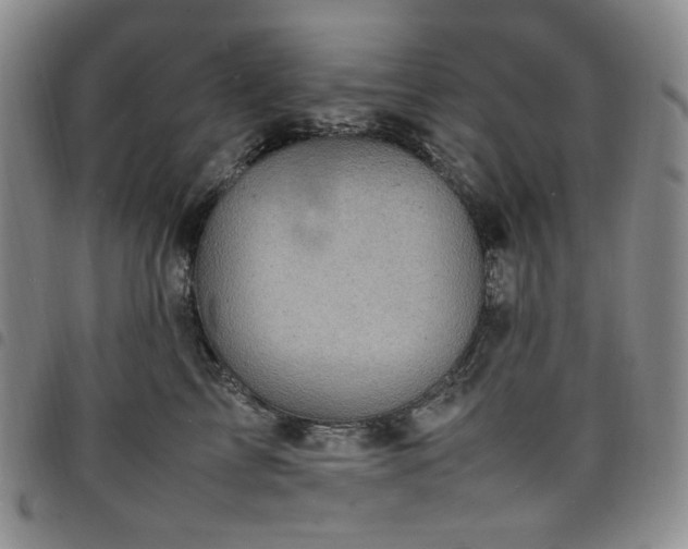 X0000098160713200804241804