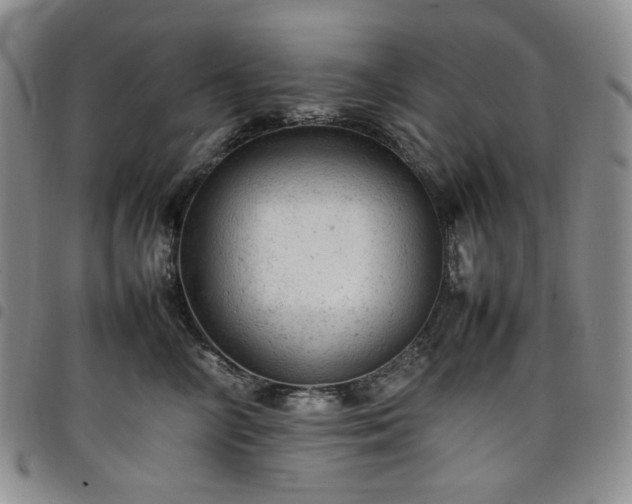 X0000098160714200804241804