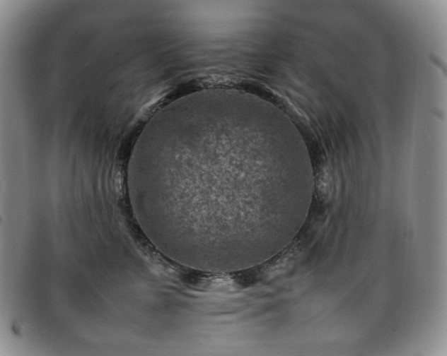 X0000098160715200804241804