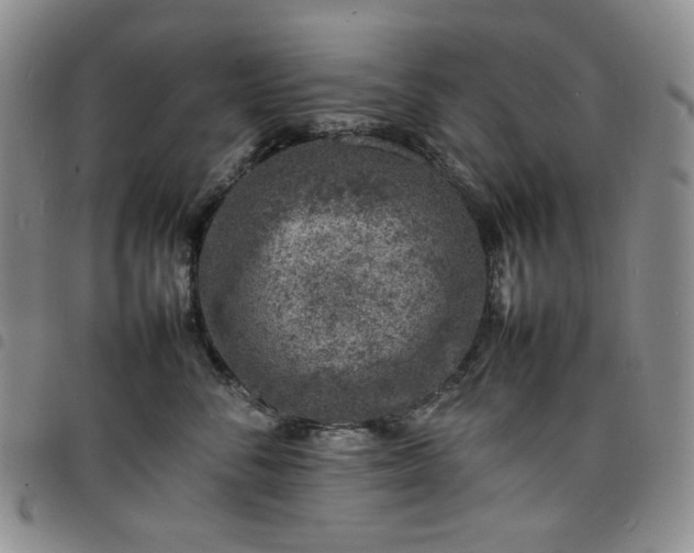 X0000098160716200804241804