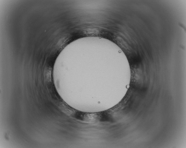 X0000098160717200804241804