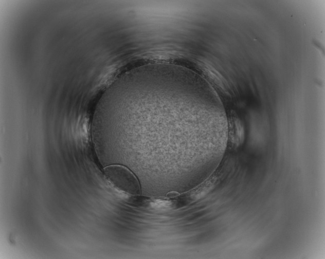 X0000098160718200804241804