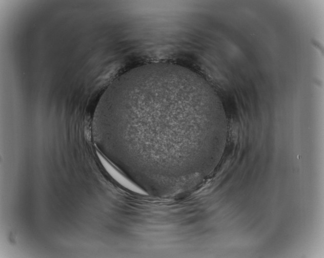X0000098160719200804241804