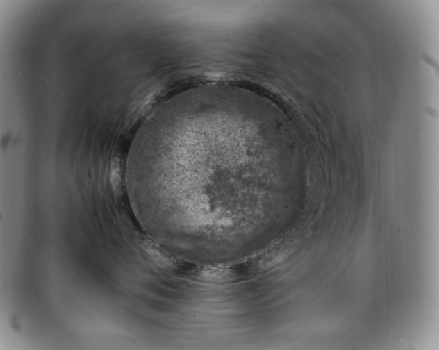 X0000098160720200804241804