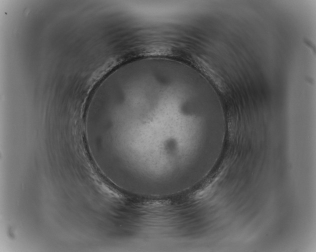 X0000098160721200804241803