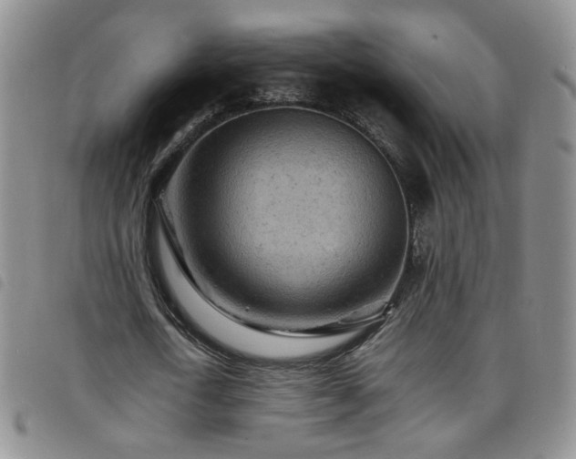 X0000098160722200804241803