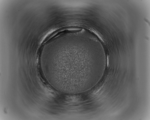 X0000098160723200804241803