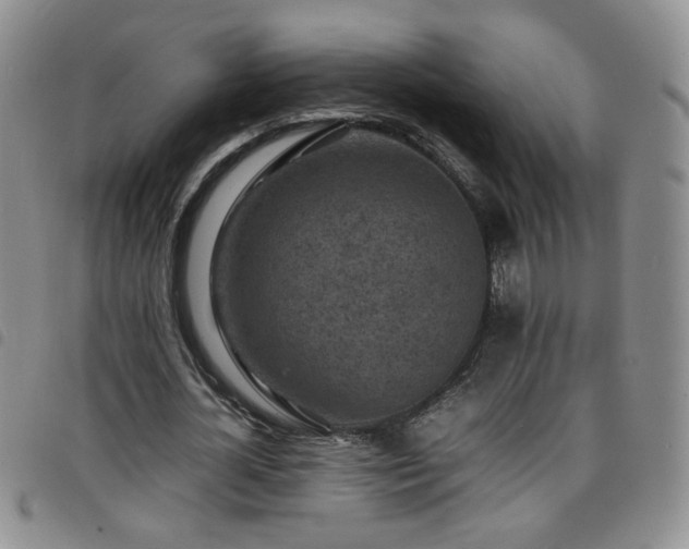 X0000098160724200804241803
