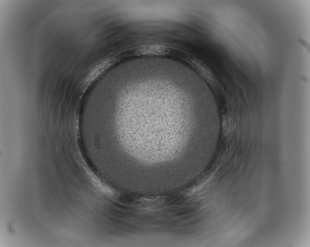 X0000098160725200804241803