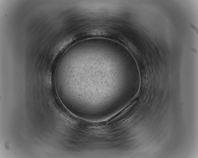 X0000098160727200804241803