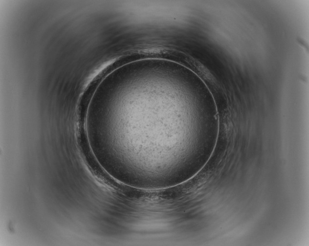 X0000098160728200804241803