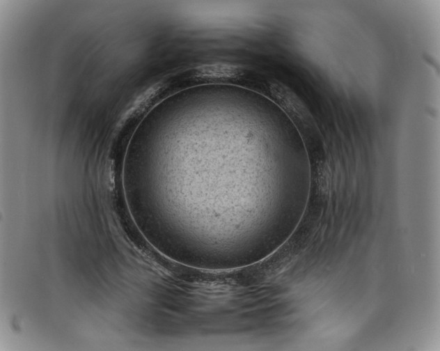 X0000098160731200804241803