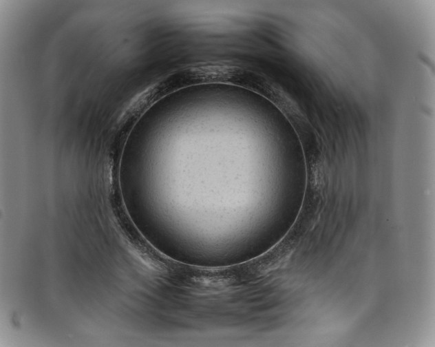 X0000098160733200804241803