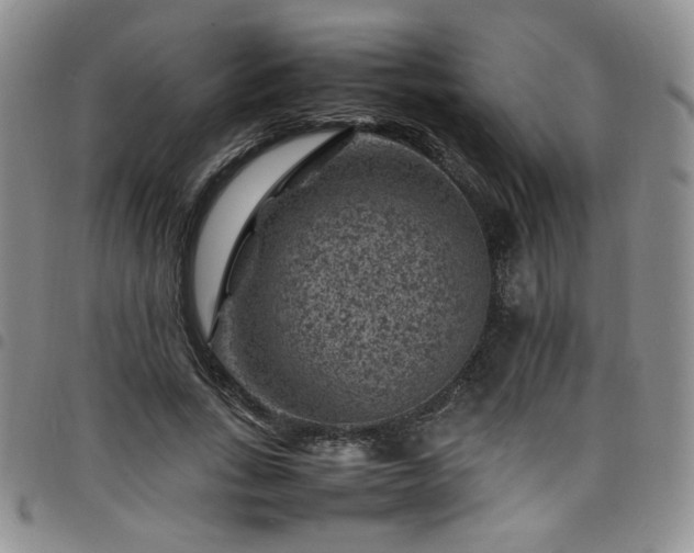 X0000098160735200804241803
