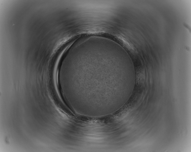 X0000098160736200804241803