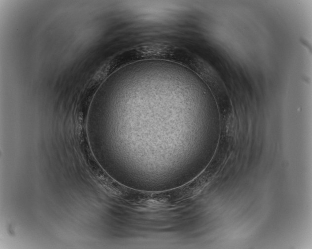 X0000098160737200804241803